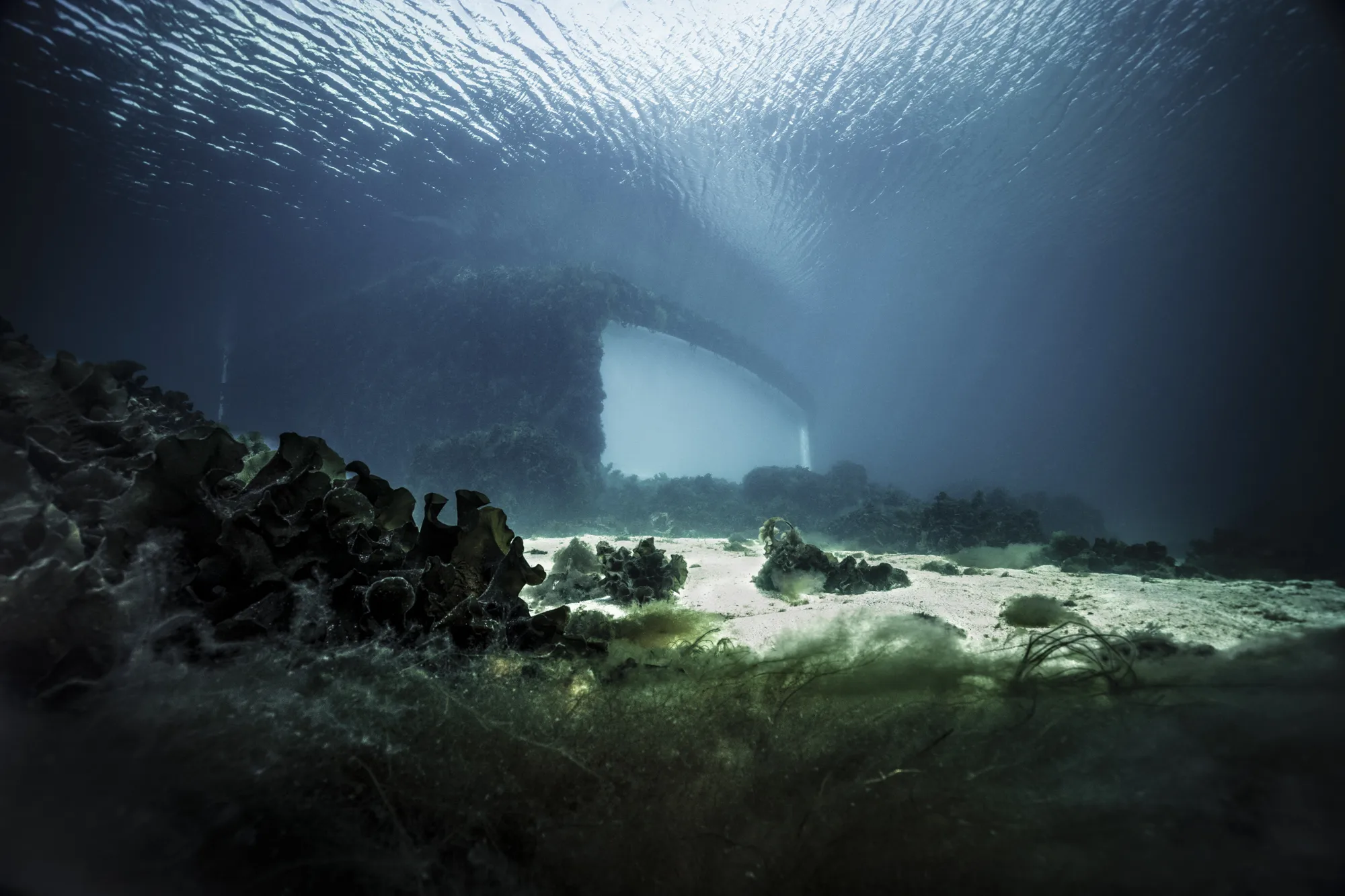 under-norway-6