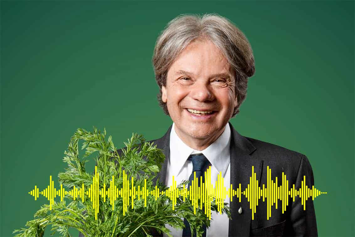 käfer-podcast