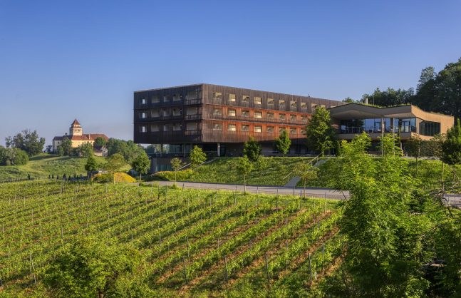 Hotel_in_Weingaerten_cLOISIUM-scaled-e1662022709174