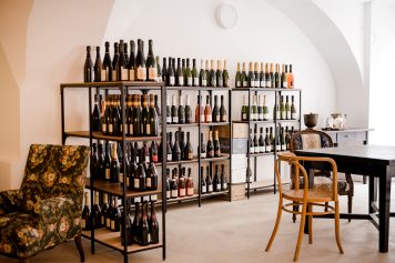 MiriamMehlman_20221002_ChampagneCharacters228-356x237