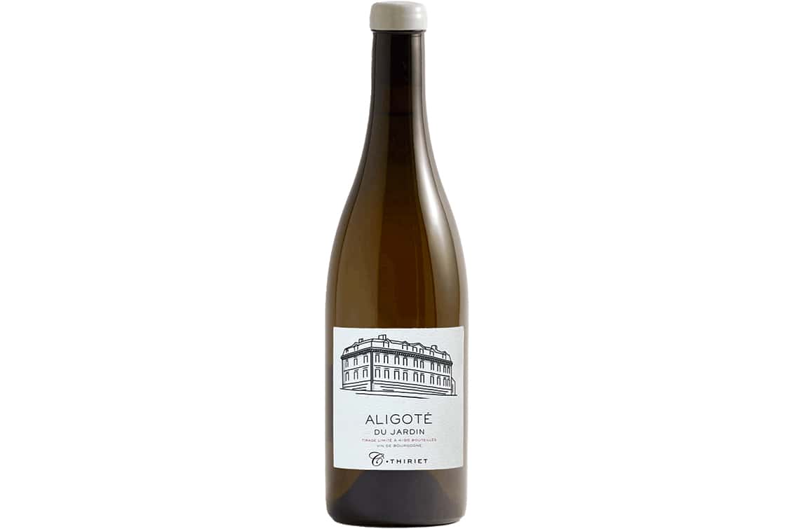 rp278-wdm-camille-thriet