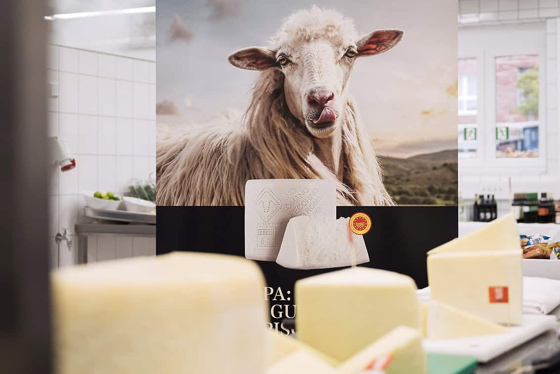 rp286-pr-pecorino-3
