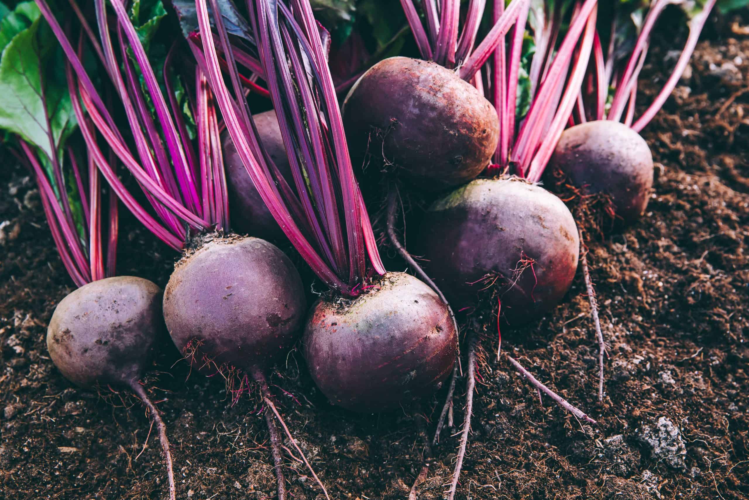 Superfoods wachsen auch bei uns in der Erde