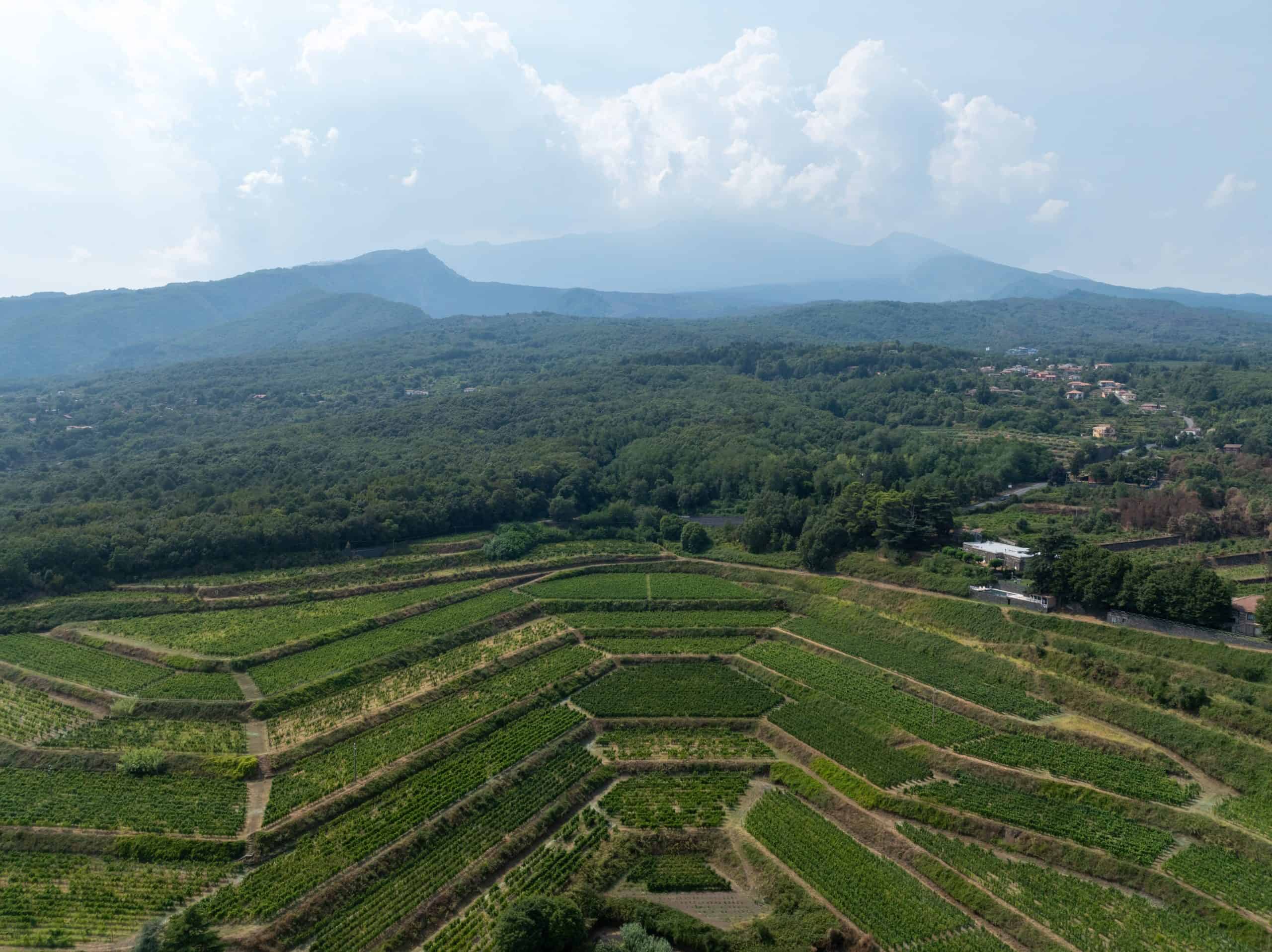 Die extremsten Weinbaugebiete auch in Vulkannähe