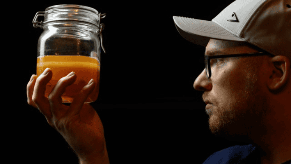 Goldene-Birn-Graz-Kombucha-Jan-Eggers