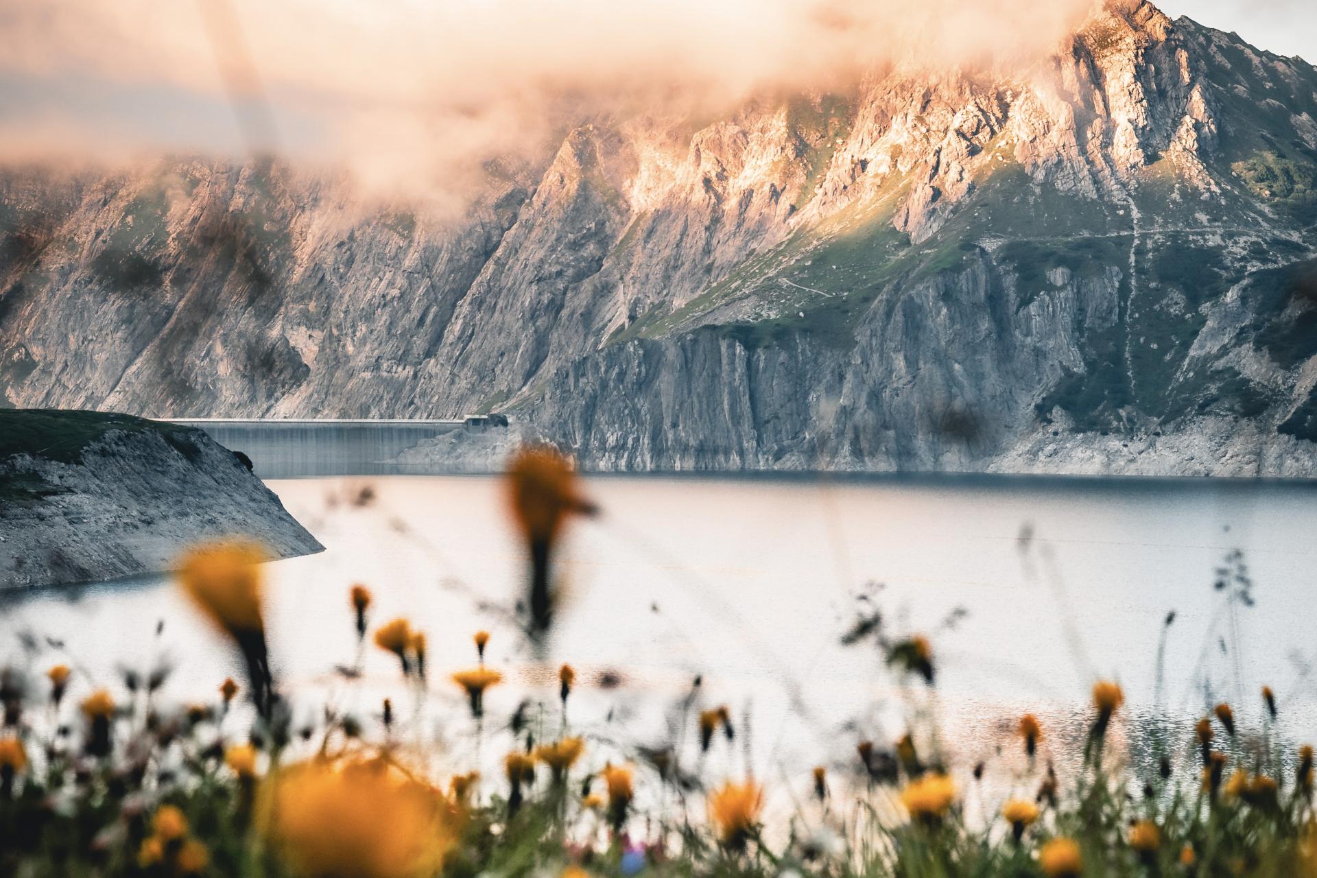 Top job Bilder