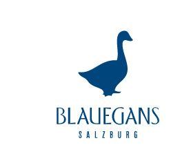 artHOTEL Blaue Gans